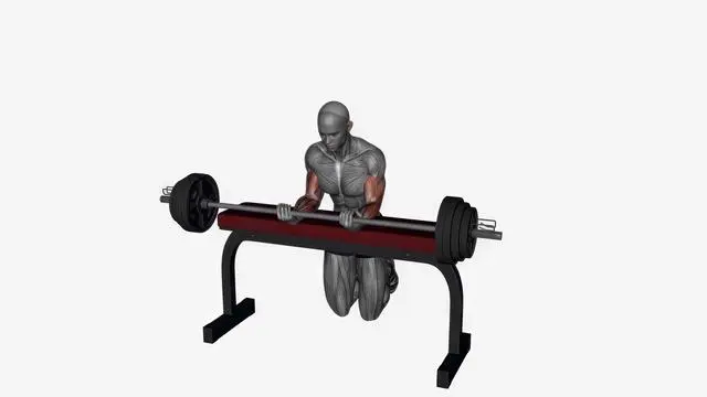 Wrist curl barbell (2)