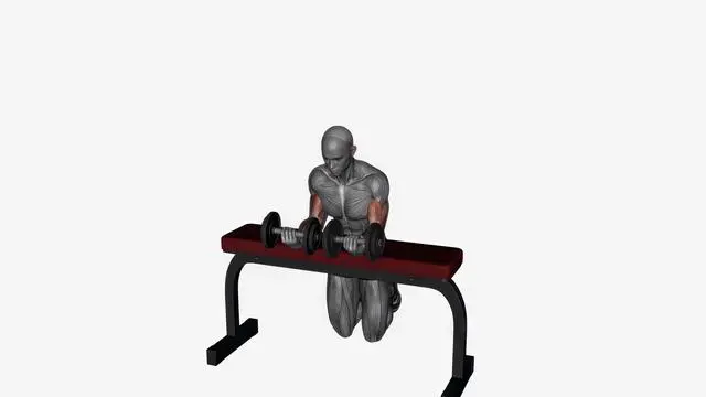 Wrist curl dumbbell (2)