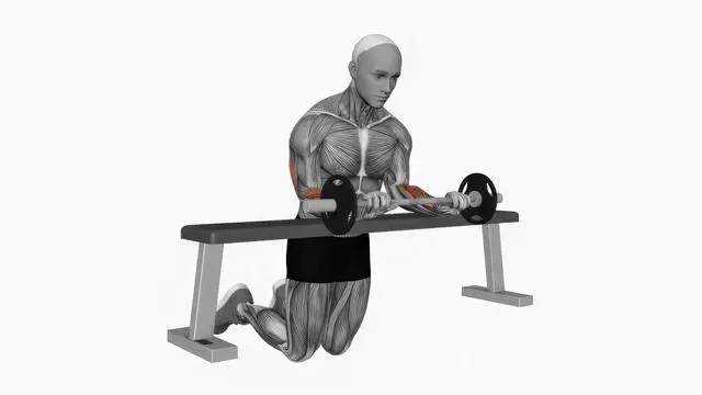 Wrist extension barbell (2)