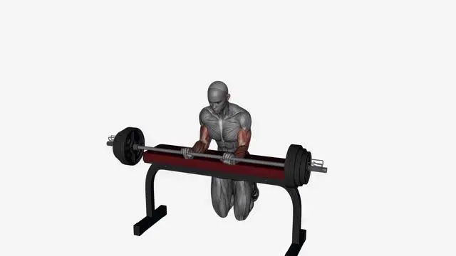 Wrist extension barbell (4)