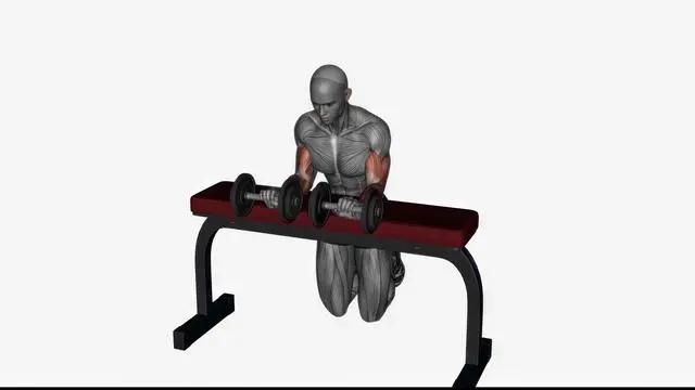 Wrist extension dumbbell (2)